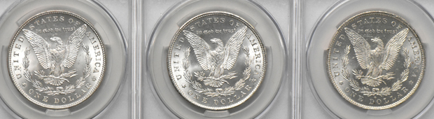 Fifteen Morgan dollars, all CACG MS-64