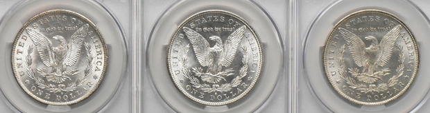 Fifteen Morgan dollars, all CACG MS-64