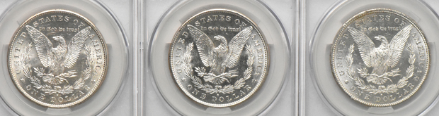 Thirteen 1881-S, all CACG MS-63