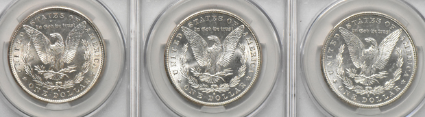 Thirteen 1881-S, all CACG MS-63