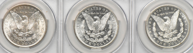 Thirteen 1881-S, all CACG MS-63