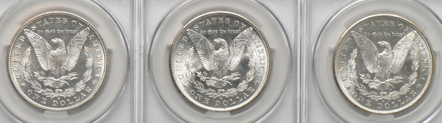 Seven 1881-S, all CACG MS-65