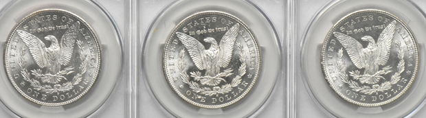 Twenty 1881-S (nineteen MS-64 and one MS-64+), all CACG