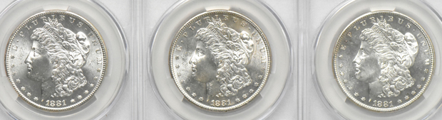 Twenty 1881-S (nineteen MS-64 and one MS-64+), all CACG