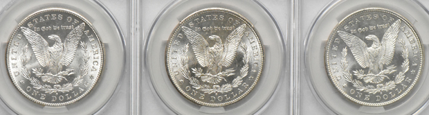 Twenty 1881-S (nineteen MS-64 and one MS-64+), all CACG