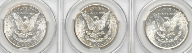 Twenty 1881-S (nineteen MS-64 and one MS-64+), all CACG
