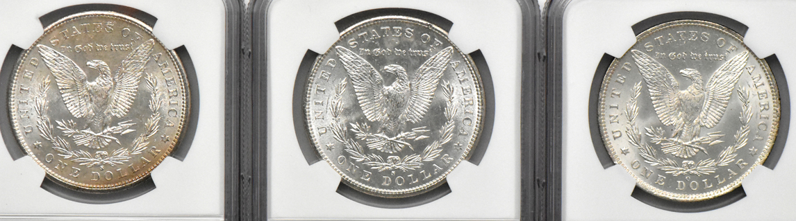 Ten Morgan dollars, all NGC MS-64