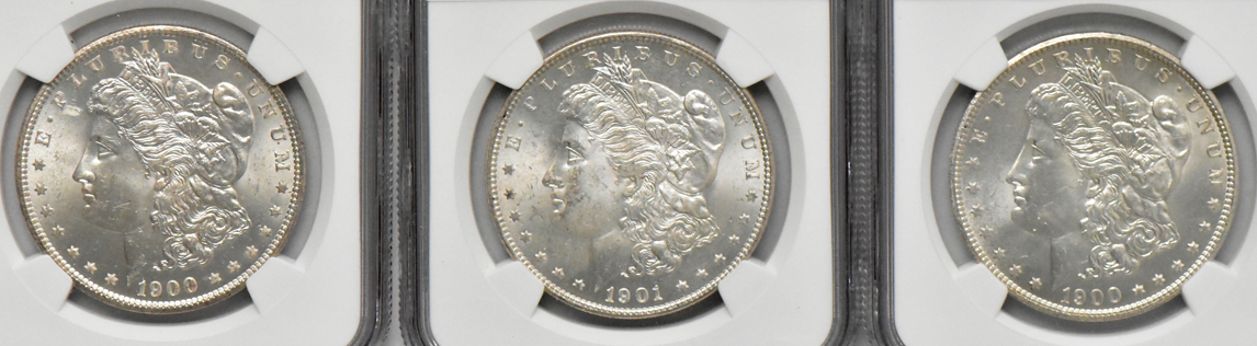 Ten Morgan dollars, all NGC MS-64