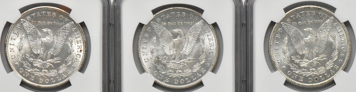 Ten Morgan dollars, all NGC MS-64