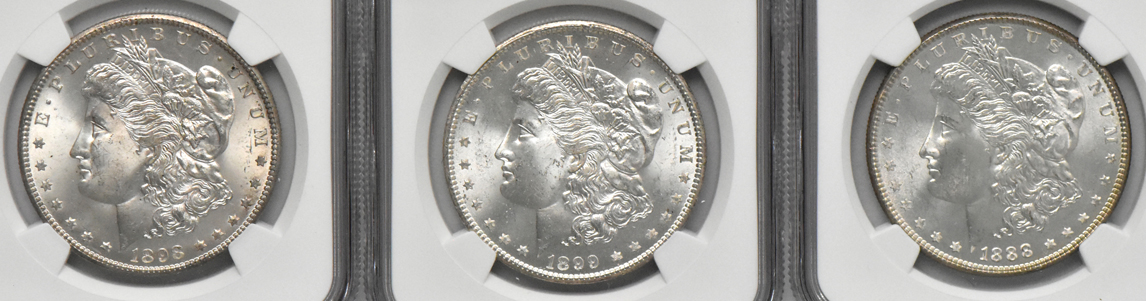 Ten Morgan dollars, all NGC MS-64