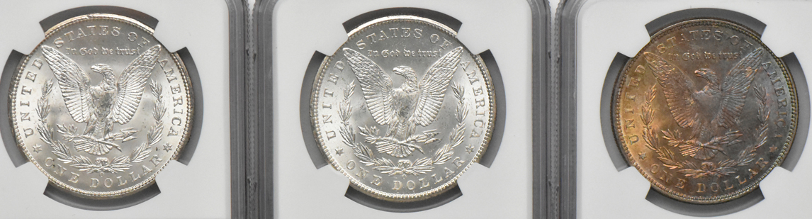 Ten Morgan dollars, all NGC MS-64