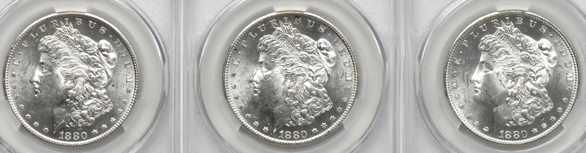 Twelve 1880-S CACG MS-62