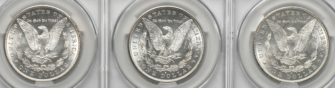 Nine Morgan dollars, all CACG MS-63