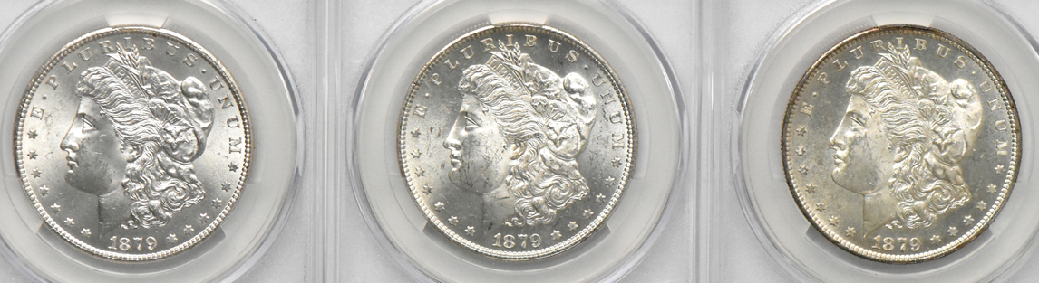 Nine Morgan dollars, all CACG MS-63