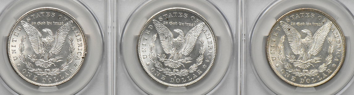 Nine Morgan dollars, all CACG MS-63