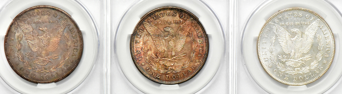 Nine Morgan dollars, all CACG MS-63