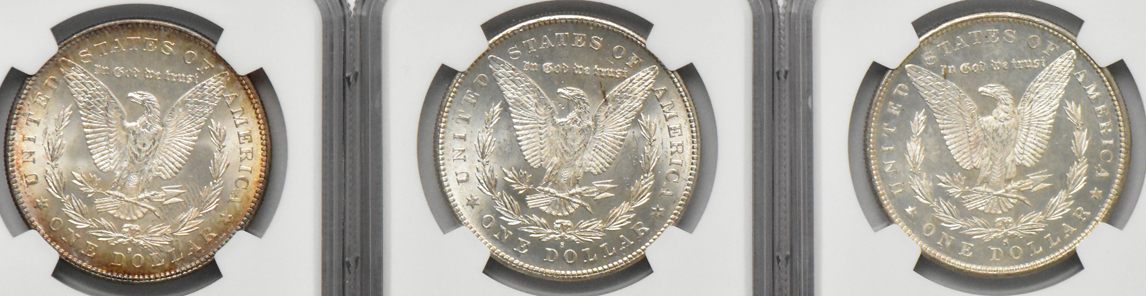 Eight Morgan dollars (seven MS-63 and one MS-63 Star), all NGC