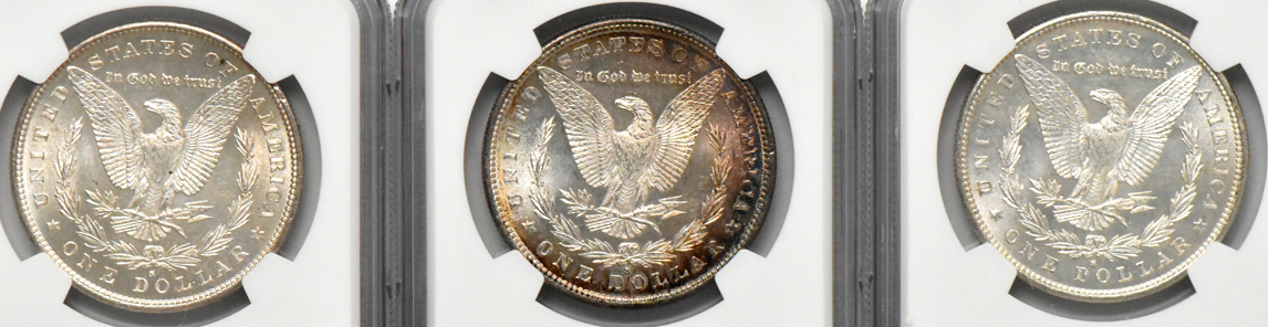 Eight Morgan dollars (seven MS-63 and one MS-63 Star), all NGC