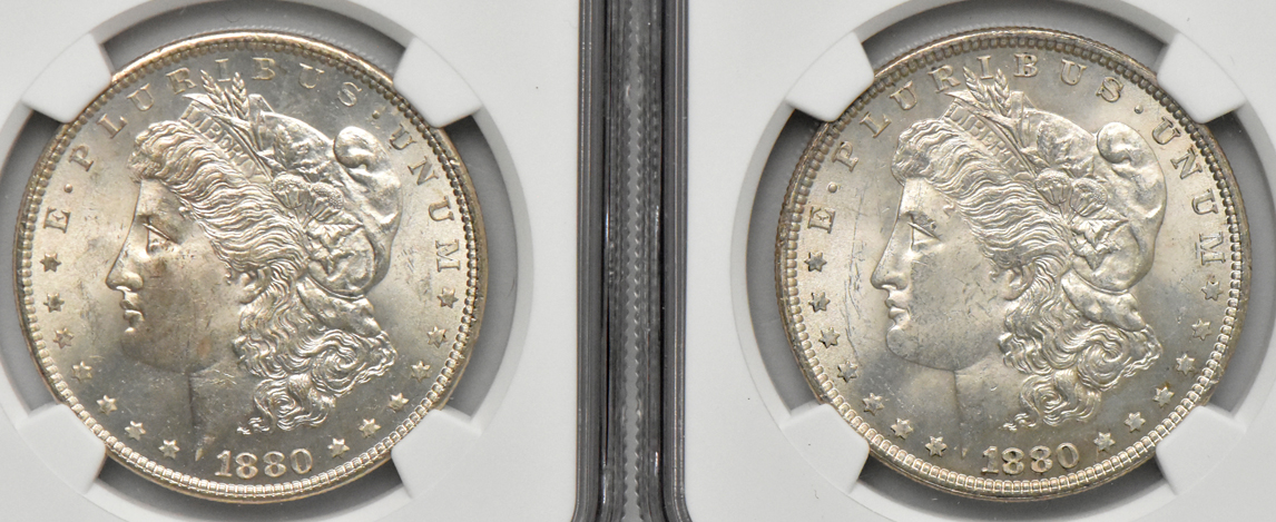 Eight Morgan dollars (seven MS-63 and one MS-63 Star), all NGC
