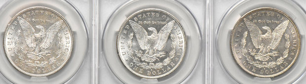 Twenty Morgan dollars, all CACG MS-62
