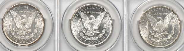 Twenty Morgan dollars, all CACG MS-62