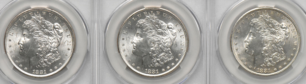 Twenty Morgan dollars, all CACG MS-62