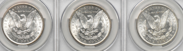 Twenty Morgan dollars, all CACG MS-62