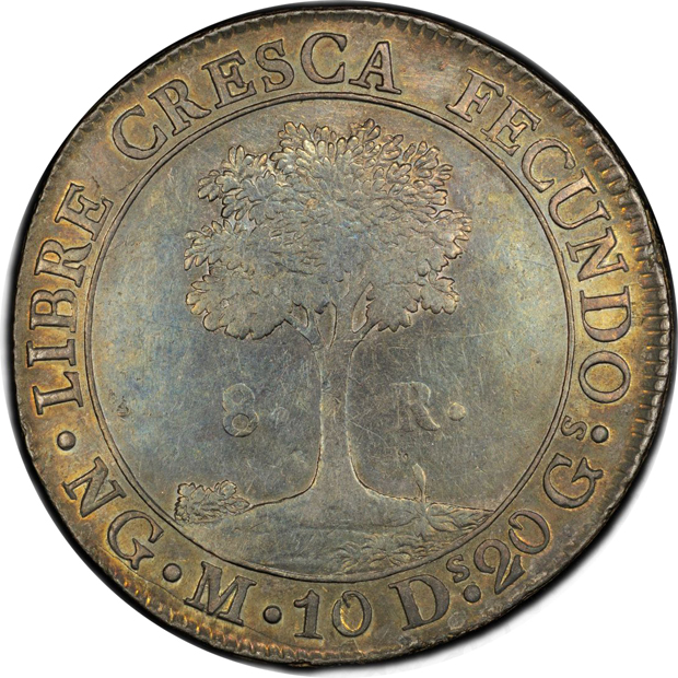 Central American Republic - 1824-NG M 8 reales - PCGS AU-55