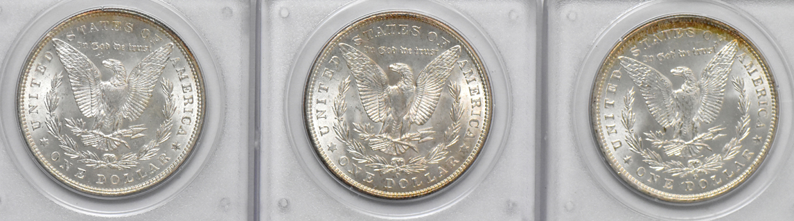 Seven Morgan dollars, all PCGS MS-63 (rattler)