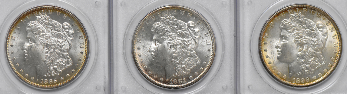 Seven Morgan dollars, all PCGS MS-63 (rattler)