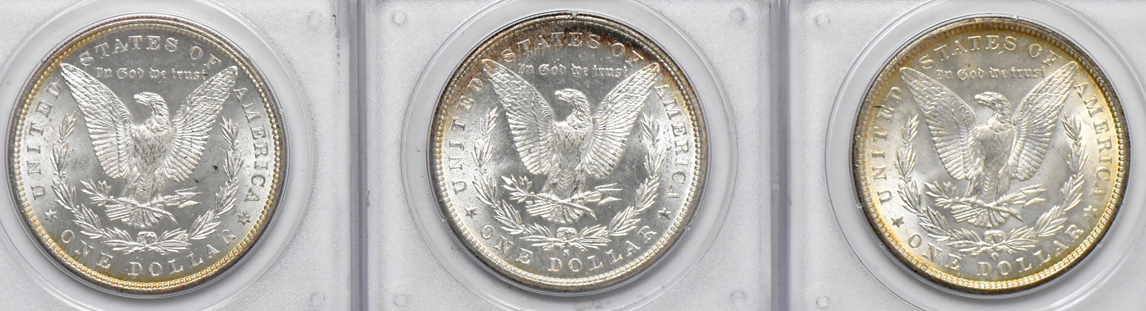 Seven Morgan dollars, all PCGS MS-63 (rattler)