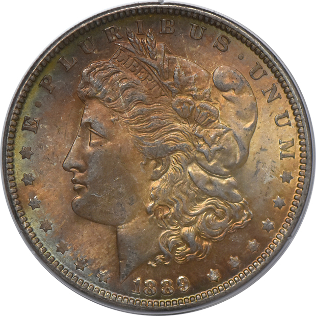Seven Morgan dollars, all PCGS MS-63 (rattler)