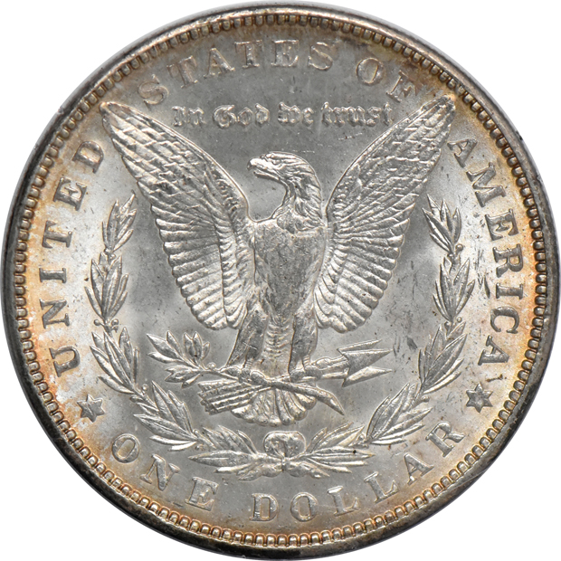 Seven Morgan dollars, all PCGS MS-63 (rattler)
