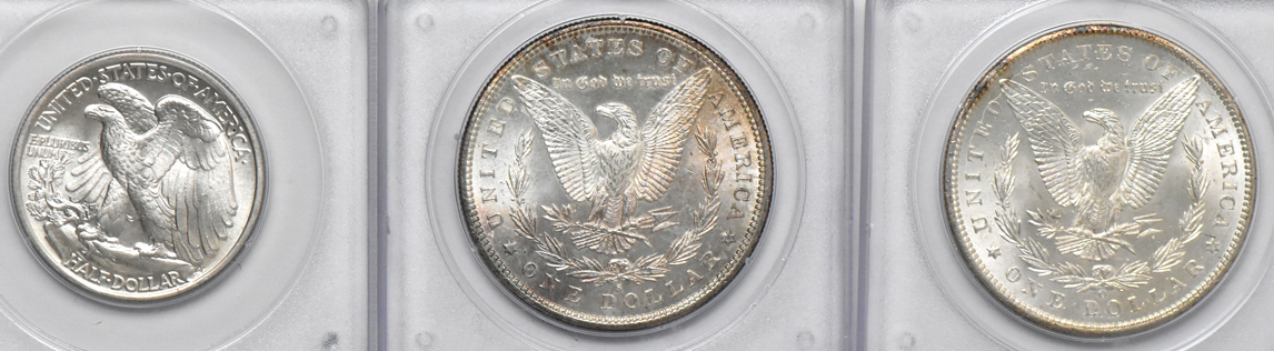 Six Uncirculated U.S. type coins in PCGS rattler holders