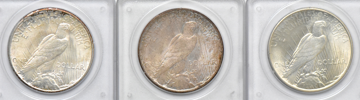 Complete collection of Peace dollars, all PCGS MS-64 (rattler)
