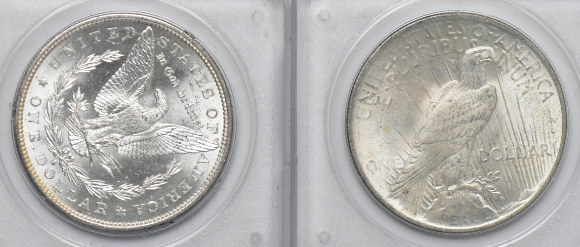 Group of seven Uncirculated Morgan dollars, five NGC (no line), and two PCGS (rattler)