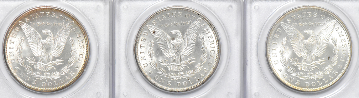 Eight different Uncirculated Morgan dollars, all PCGS (rattler)