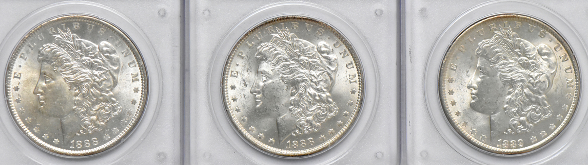 Eight different Uncirculated Morgan dollars, all PCGS (rattler)