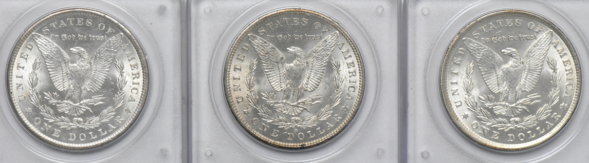 Eight different Uncirculated Morgan dollars, all PCGS (rattler)