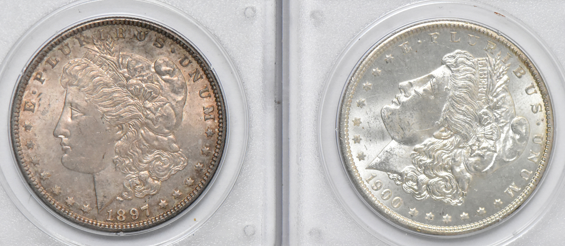 Eight different Uncirculated Morgan dollars, all PCGS (rattler)