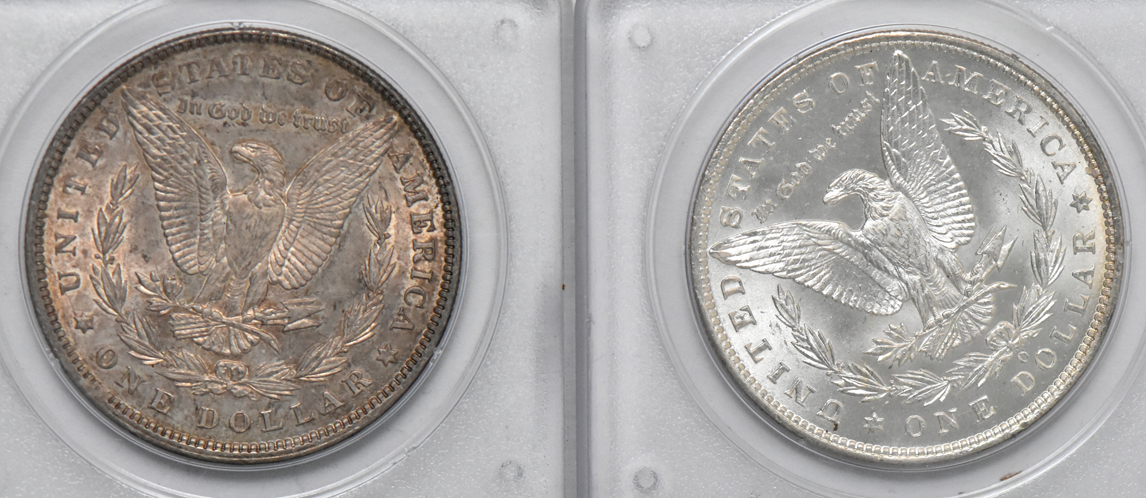 Eight different Uncirculated Morgan dollars, all PCGS (rattler)
