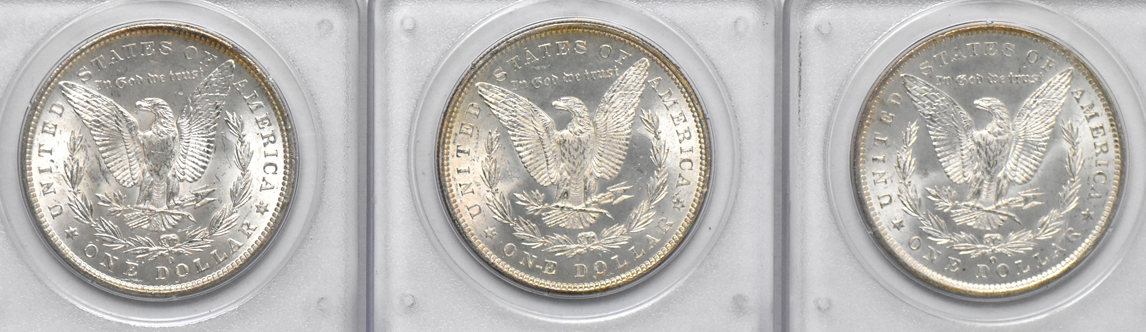 Twenty Uncirculated Morgan dollars, all PCGS (rattler)
