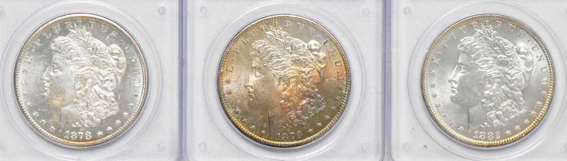 Twenty Uncirculated Morgan dollars, all PCGS (rattler)