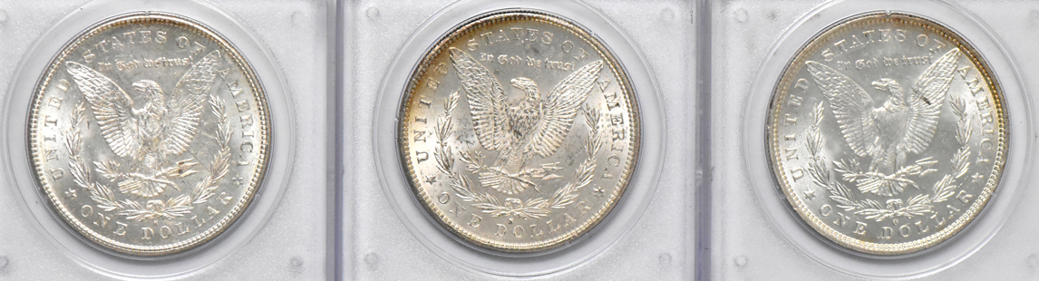 Twenty Uncirculated Morgan dollars, all PCGS (rattler)