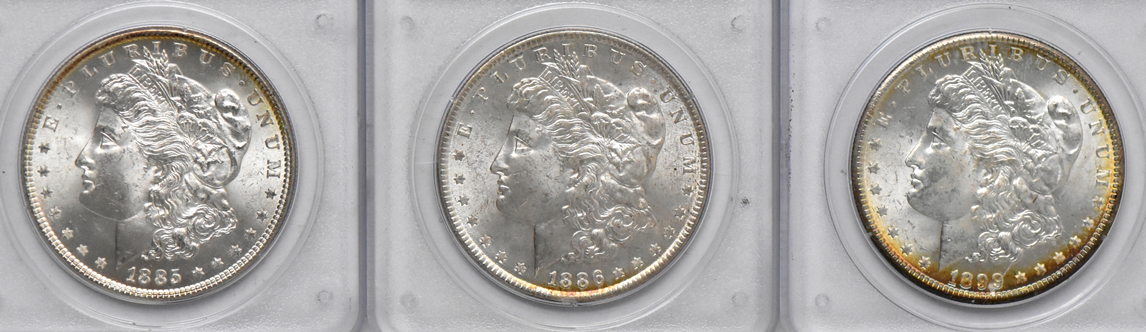 Twenty Uncirculated Morgan dollars, all PCGS (rattler)