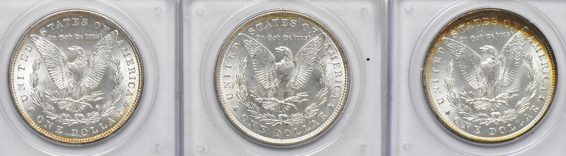 Twenty Uncirculated Morgan dollars, all PCGS (rattler)
