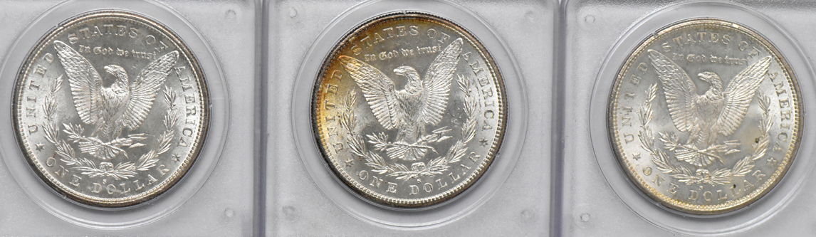 Twenty Morgan dollars, all PCGS MS-63 (rattler)