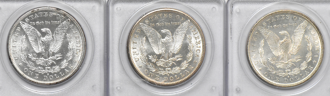 Twenty Morgan dollars, all PCGS MS-63 (rattler)