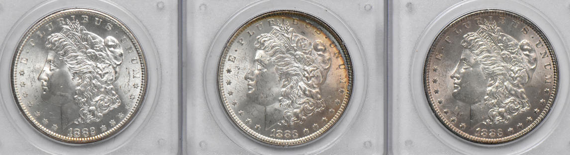 Twenty Morgan dollars, all PCGS MS-63 (rattler)