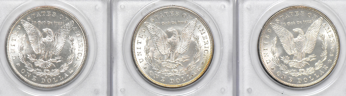 Twenty Morgan dollars, all PCGS MS-63 (rattler)